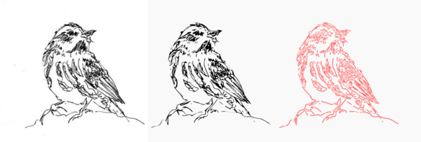 Bird pencil trace.png