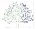 Silhouet bomen trace vector.png